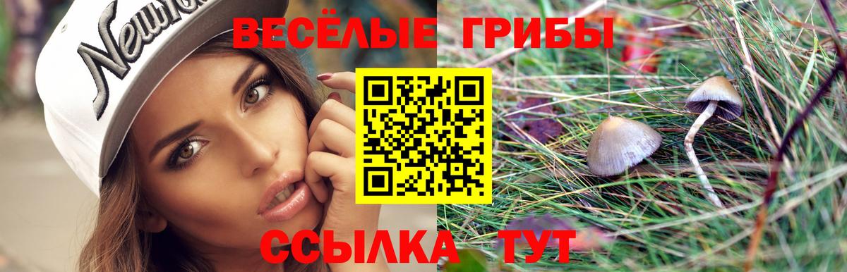 Псилоцибиновые грибы Psilocybine cubensis  Вход с VPN  наркотики  Киреевск 